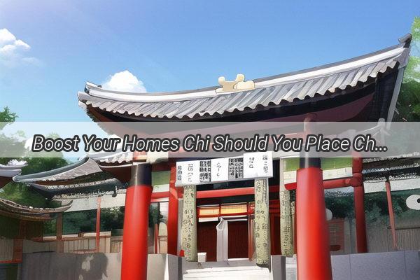 Boost Your Homes Chi Should You Place Chrysanthemums at the Entrance for Good Feng Shui